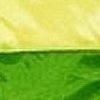 Желтый/Зеленый